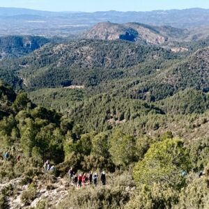 Olocau Penyes de Pedralvilla