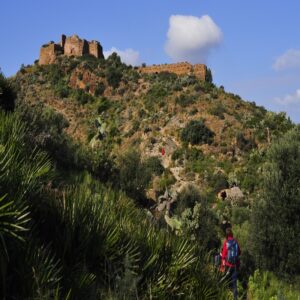 Almenara y su Marjal