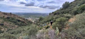 Faura y La Vall de Segó