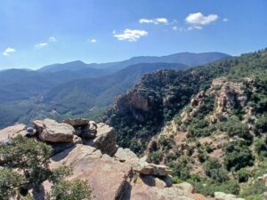 Órganos de Benitandús