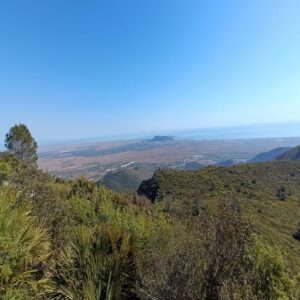 De ruta al paraje de la Casella, Alzira