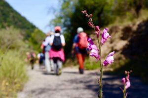 Sant Joan de Moró…por fin