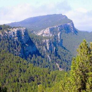 Canó del riu Alcalà